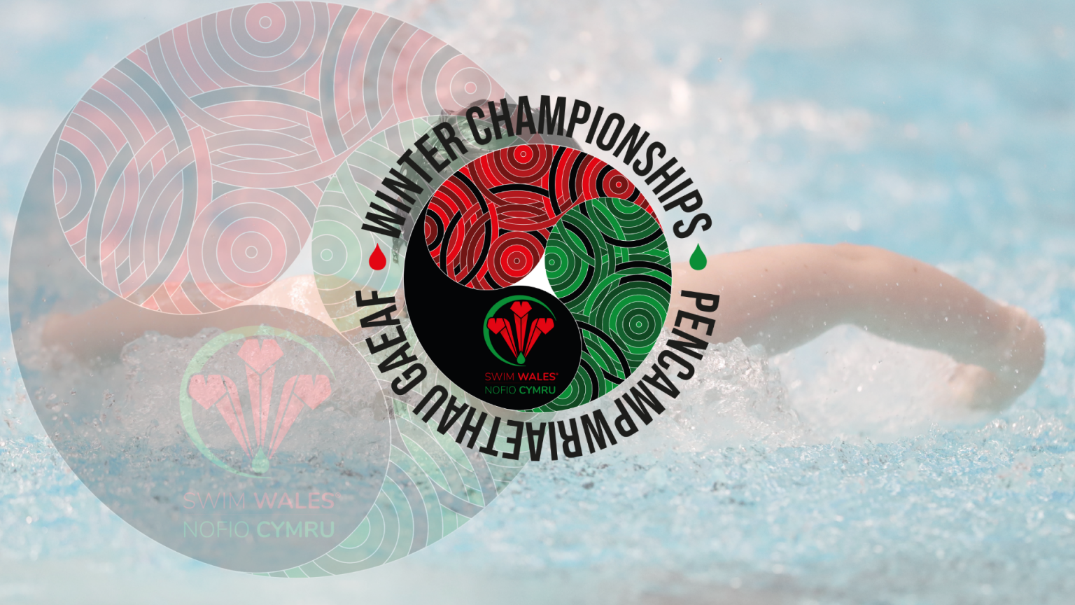 Swim Wales Winter Nationals 2024 - Tisha Giustina